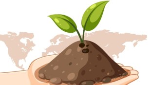 world soil day, world soil day 2024