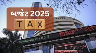 Budget 2025 Expectations | Budget 2025