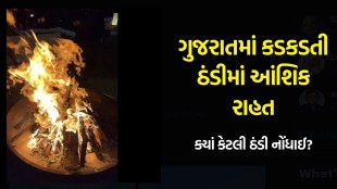 ગુજરાતમાં કડકડતી ઠંડીમાં આંશિક રાહત, Gujarat winter Weather update