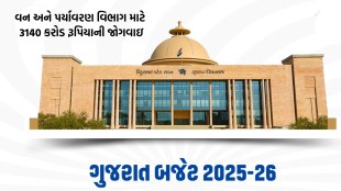 Forest and Environment Department, Finance Minister Kanu Desai,