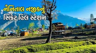 Uttarakhand Famous Pangot Hill Station Tour