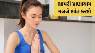 bhramari pranayama, pranayama