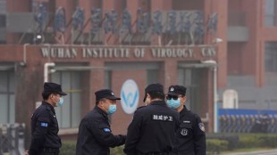wuhan lab virus, bat virus