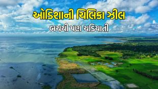 summer travel tips odisha chilika