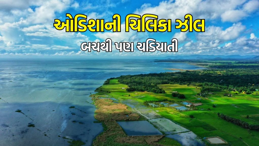 Odisha Tourism chilika lake