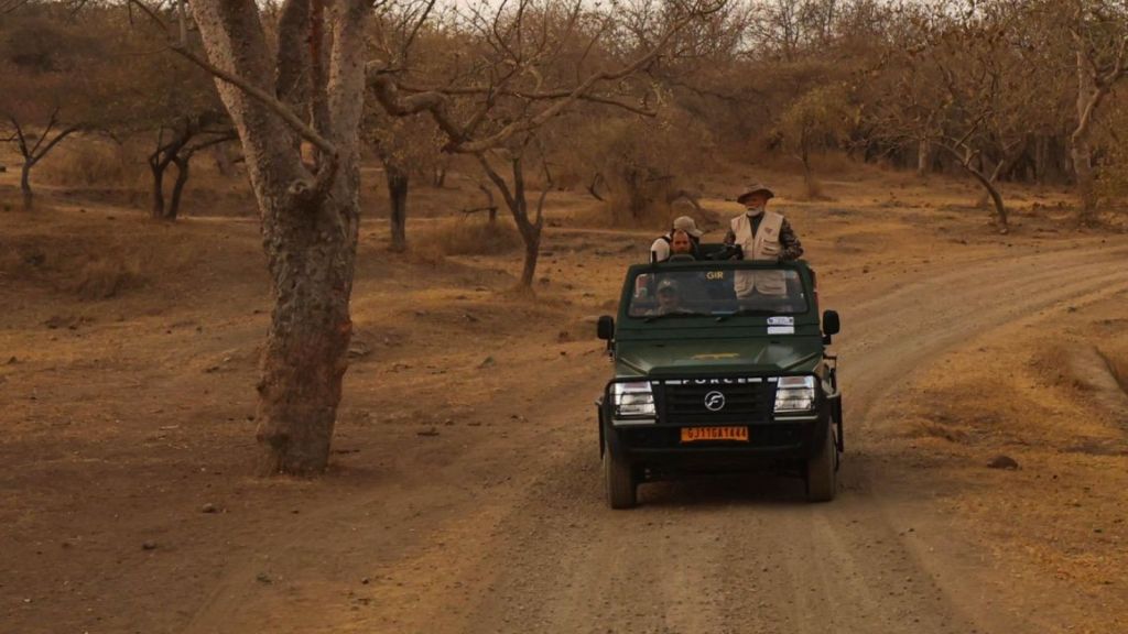 PM Narendra Modi In Gir National Park | PM Narendra Modi Visit Gir Lion Park | Gir National Park | Gir Lion | PM Narendra Modi