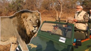PM Narendra Modi In Gir National Park | PM Narendra Modi Visit Gir Lion Park | Gir National Park | Gir Lion | PM Narendra Modi