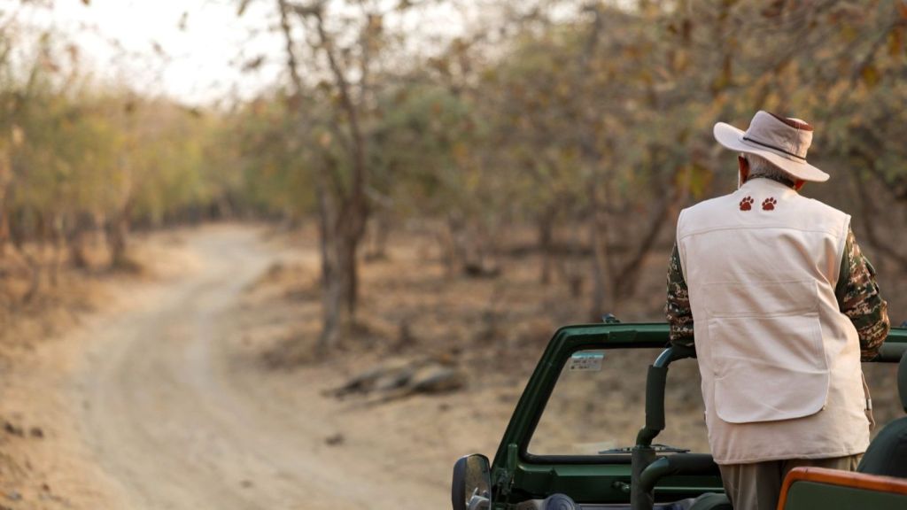 PM Narendra Modi In Gir National Park | PM Narendra Modi Visit Gir Lion Park | Gir National Park | Gir Lion | PM Narendra Modi
