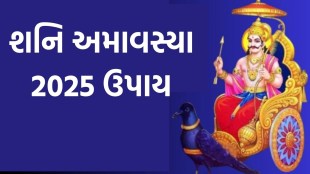 Shani Amavasya 2025, Shani Amavasya