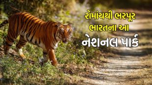 South India National Park Tour in Summer