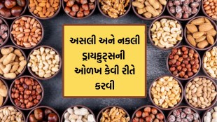 real or fake dry fruits, Holi 2025