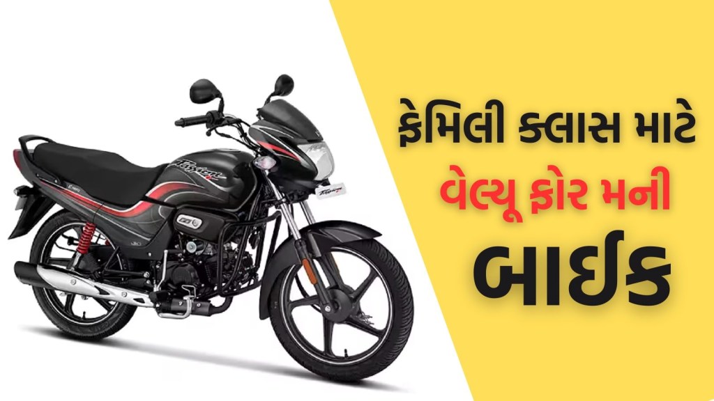 2025 Hero passion plus, hero passion plus 2025 model