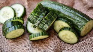 eating cucumbers in summer