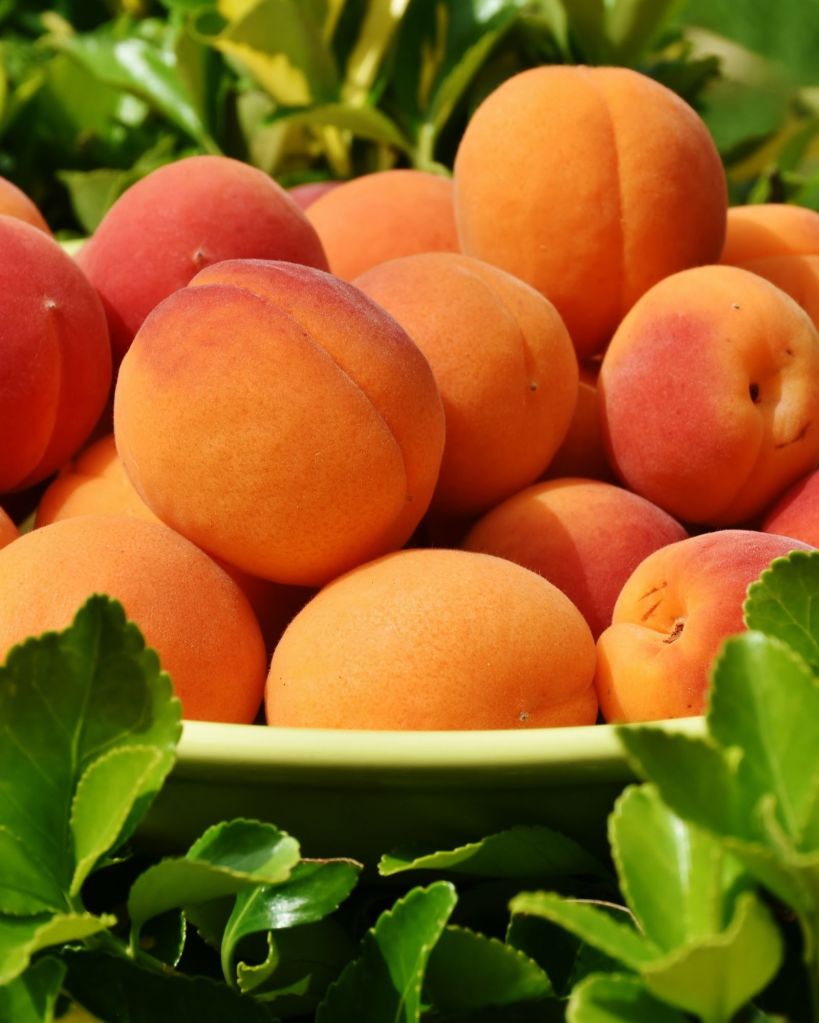 peach eating benefits in gujarati