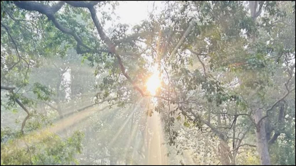 best hill station in Maharashtra