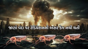cockroaches, nuclear attack, survive, nuclear,