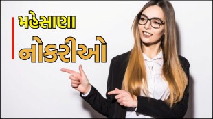 Jobs in mehsana