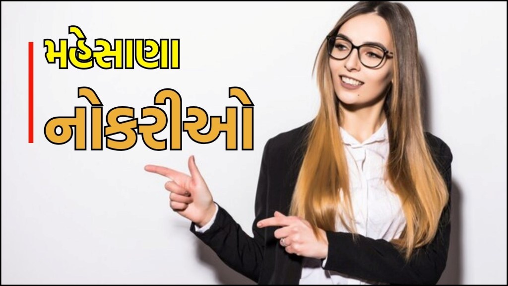 Jobs in mehsana
