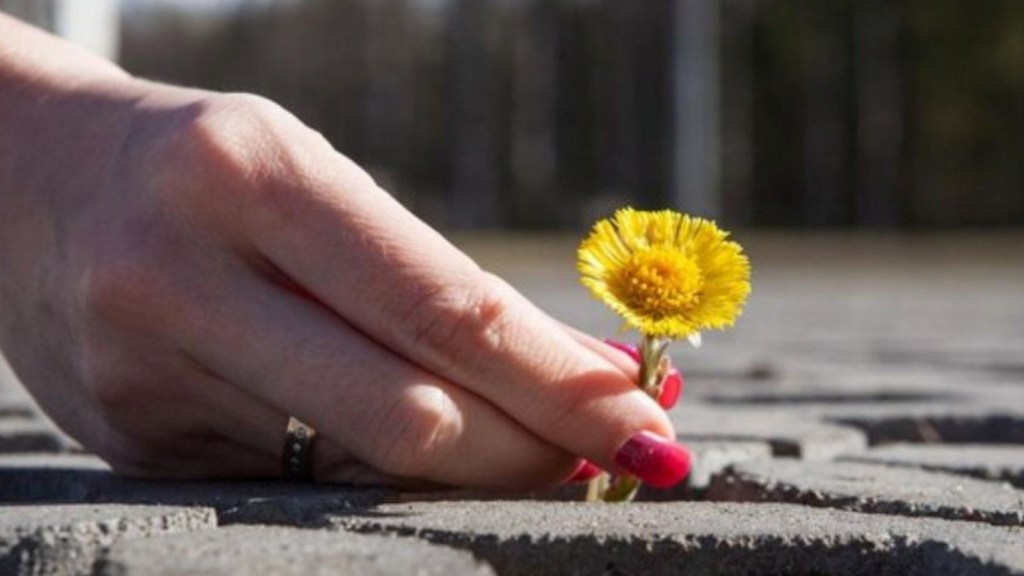 Shakun Shastra, Shakun Shastra for lucky things