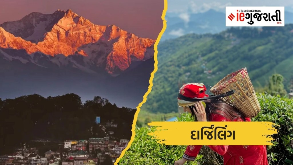 8 Best Travel Destinations to Visit in India in Gujarati