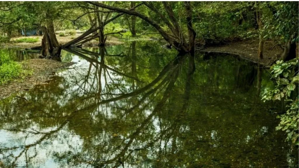 Best destination for photography in monsoon 