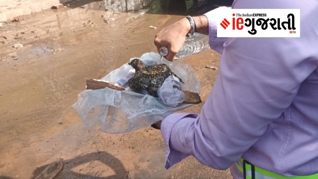 Ahmedabad Plane Crash Today in Gujarati, અમદાવાદ પ્લેન ક્રેશ