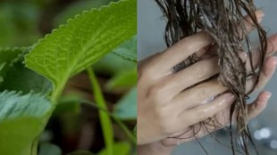 Ajma Na Pan Hair Dye Simple Tip, Hair Dye Simple Tip