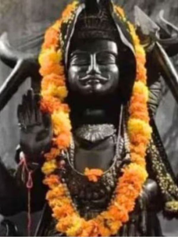 Shani Vakri 2025 zodiac sign Effects
