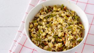 sprouted moong | સવારના ખાલી પેટ ફણગાવેલા મગ ખાવાના ફાયદા