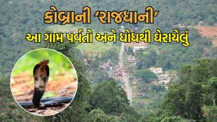 Snake Capital of India, Agumbe