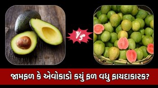 Avocado vs Guava, weight loss diet