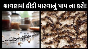 Chiti bhagane ke upay, કીડી ભગાડવાના ઉપાય