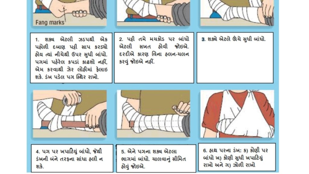 સાપ