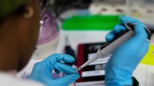 Genome Sequencing Project, Gujarat First State