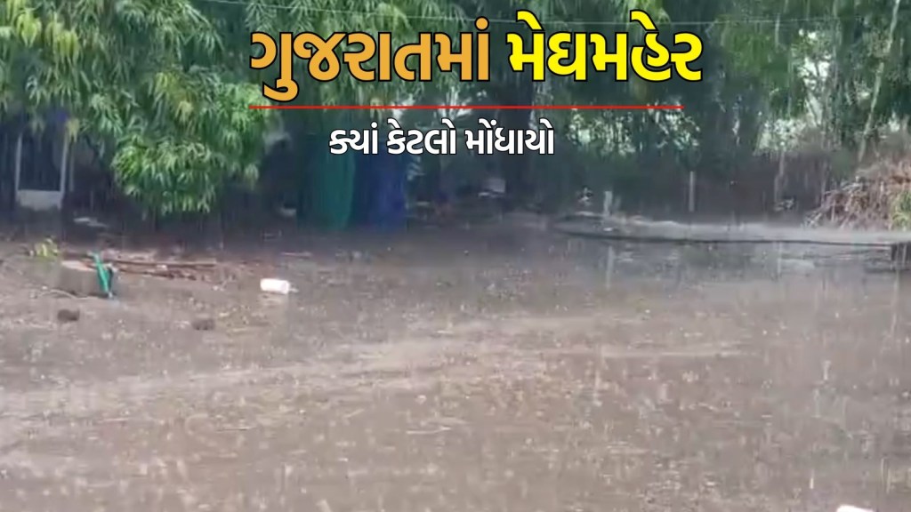 Today Gujarat heavy rain news in gujarati