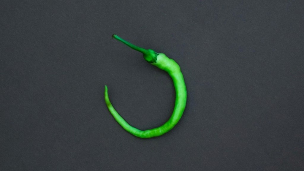 Hanging Lemon Chillies myth vs fact