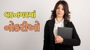 jobs in vadnagar, વડનગર ભરતી 2025