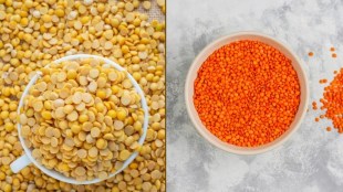 Moong Dal vs Masoor Dal, મગ દાળ વિ મસૂર દાળ