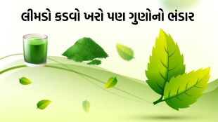 neem health benefits for the body