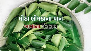 Side Effects of Curry Leaves | Curry Leaves | Curry Leaves benefits | Consuming Curry Leaves Daily Side Effects