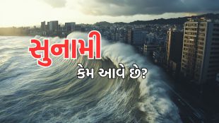 Tsunami | Tsunami in japan | Tsunami in indian | Tsunami in 2004 | tsunami meaning