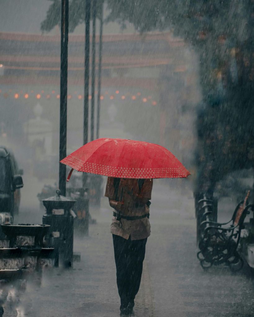 ચોમાસામાં દહીં ખાવું કે નહિ?