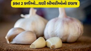 health news, garlic