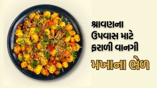 Shravan 2025, makhaana bhel falahar