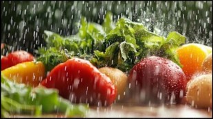 monsoon friendly vegetables, વરસાદ, શાકભાજી