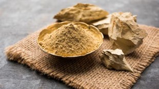 મુલતાની માટી લગાવવાના ફાયદા અને ગેરફાયદા , Multani Mitti Benefits for Skin