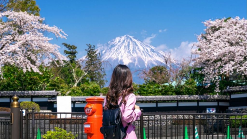 short term global programmes for abroad