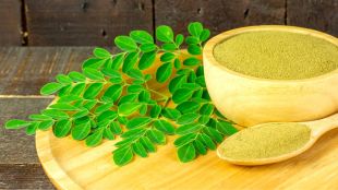 મોરિંગાના પાનના ફાયદા | Moringa Leaves Benefits