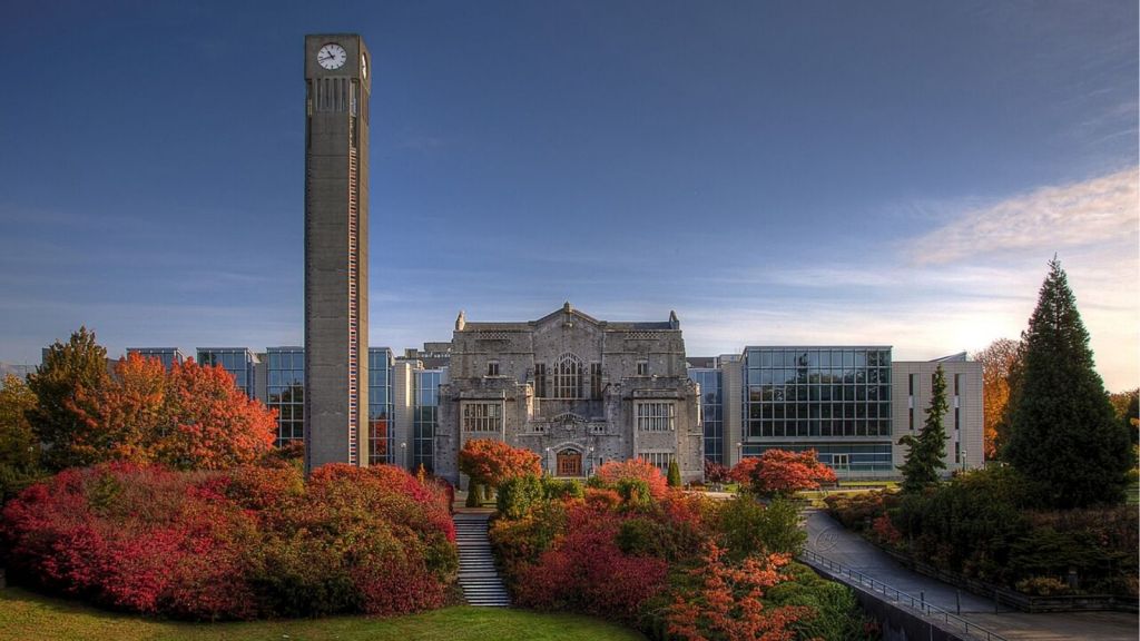 career in Canada Top Universities For Job Outlook