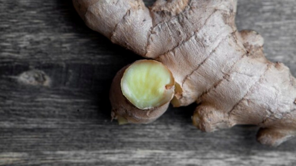 ginger, આદુ
